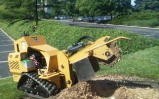 Stump Grinding Arbor Management