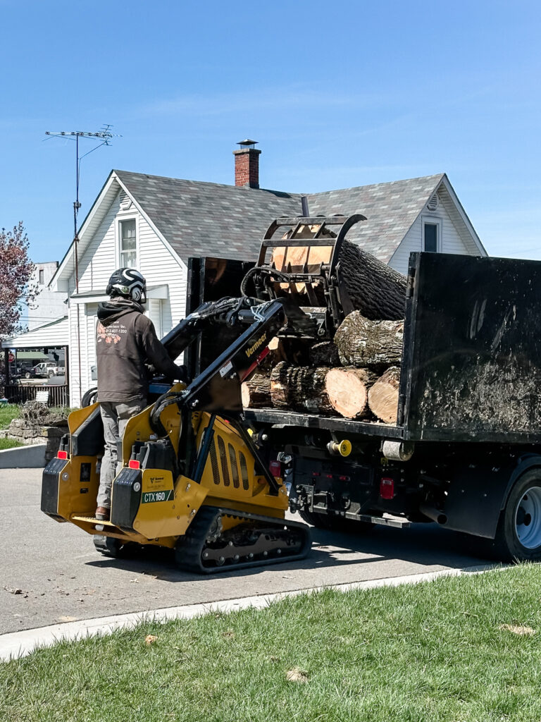 Vermeer CTX160 Arbor Management Associates